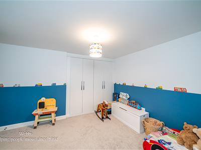 Picture 27